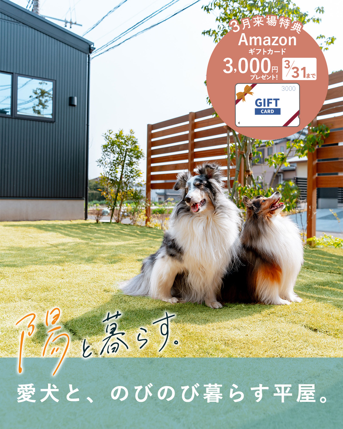 「オオソラモ土気」平屋の街（全127邸）