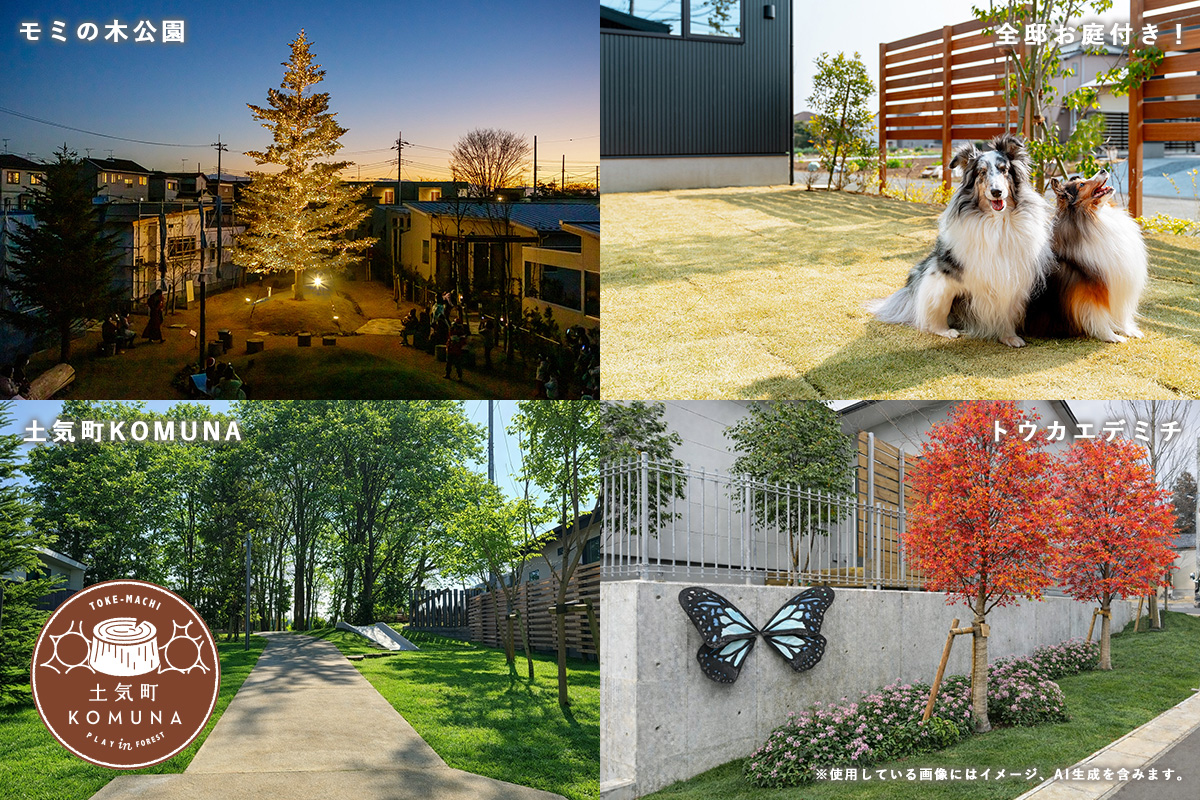 即完売したprojectの第2弾！